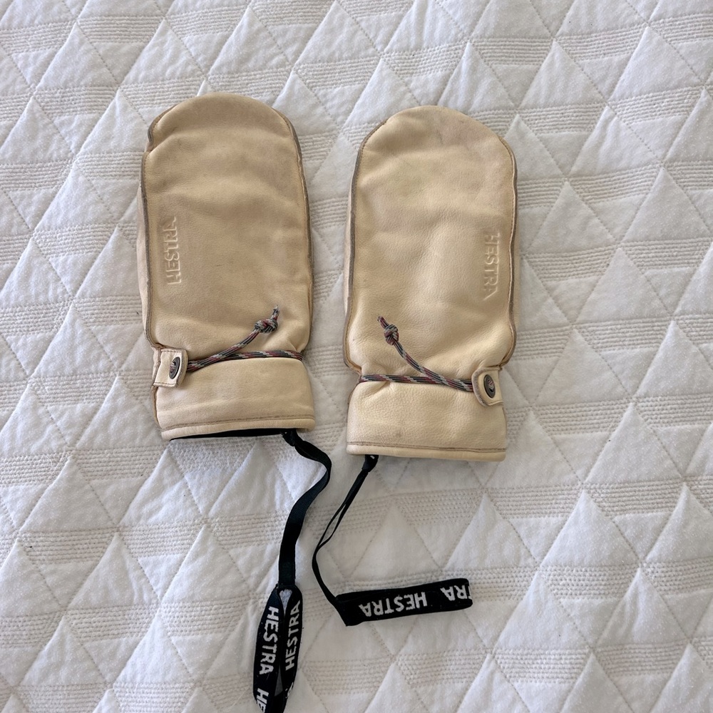 Hestra Wakayama Winter Mitt